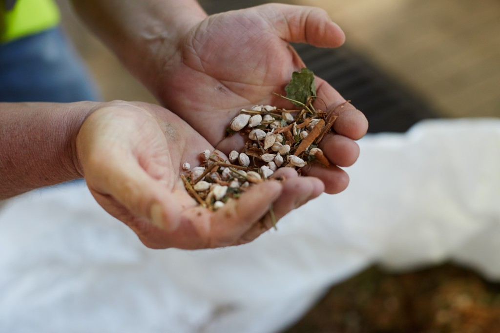Benedictine and the Burnley miners Drinks Tube