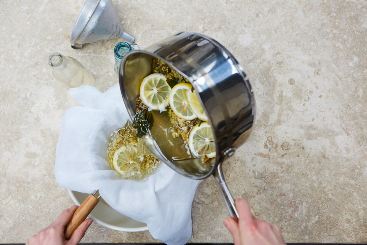 elderflower_4