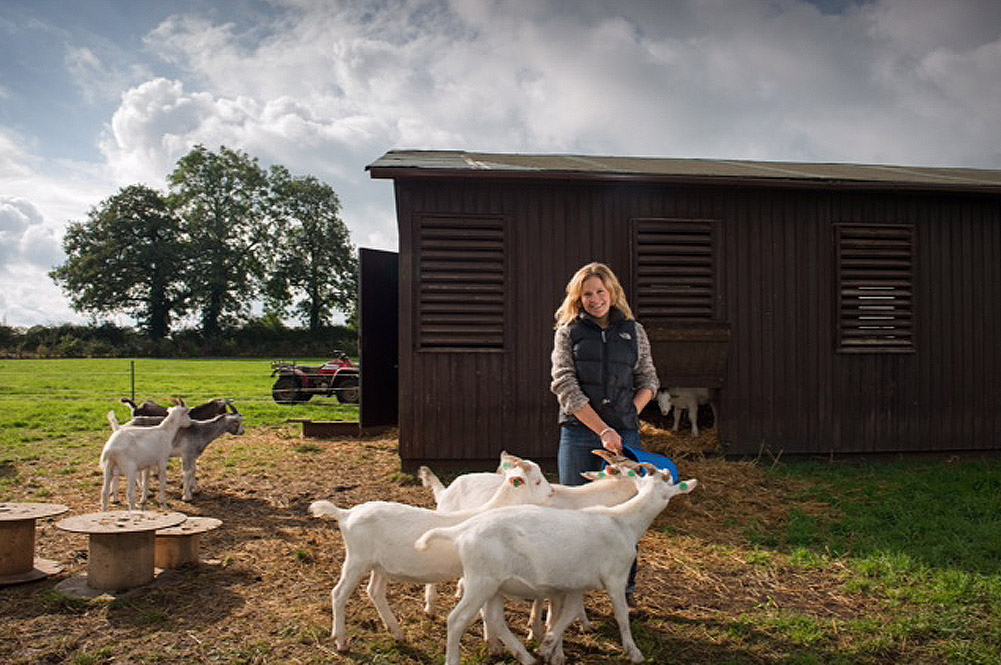 Freerange kid goat meat the sustainable choice Jamie Oliver Features
