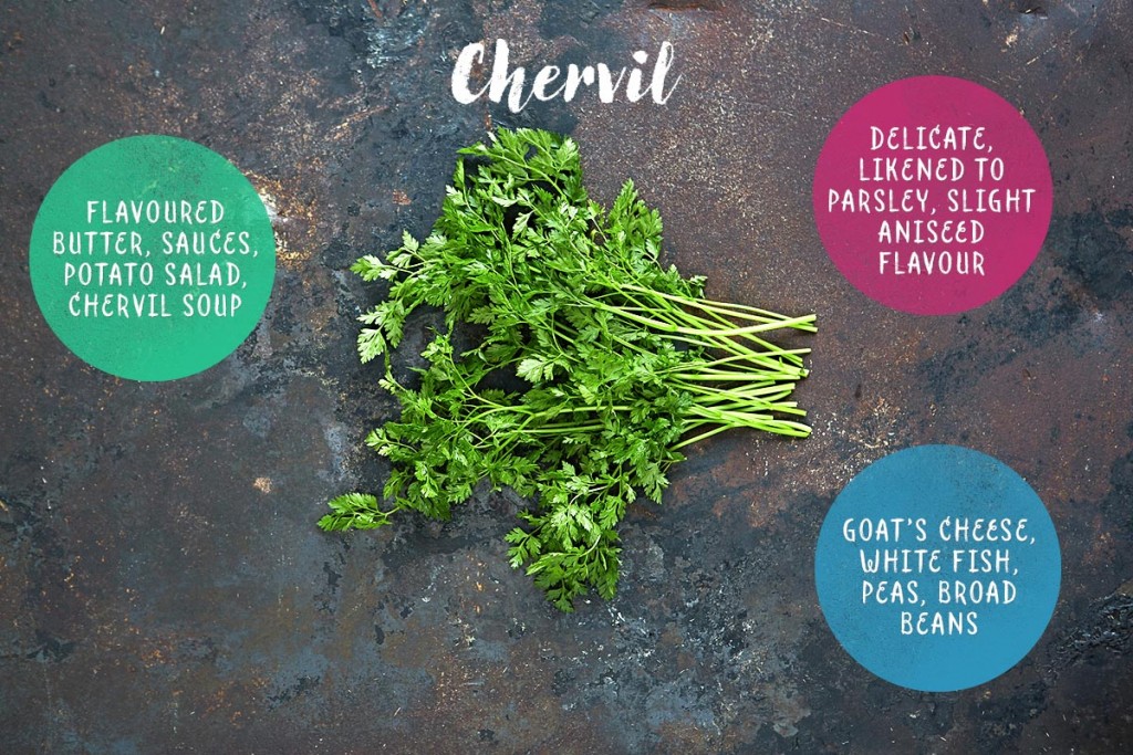 How to use herbs Jamie Oliver Features