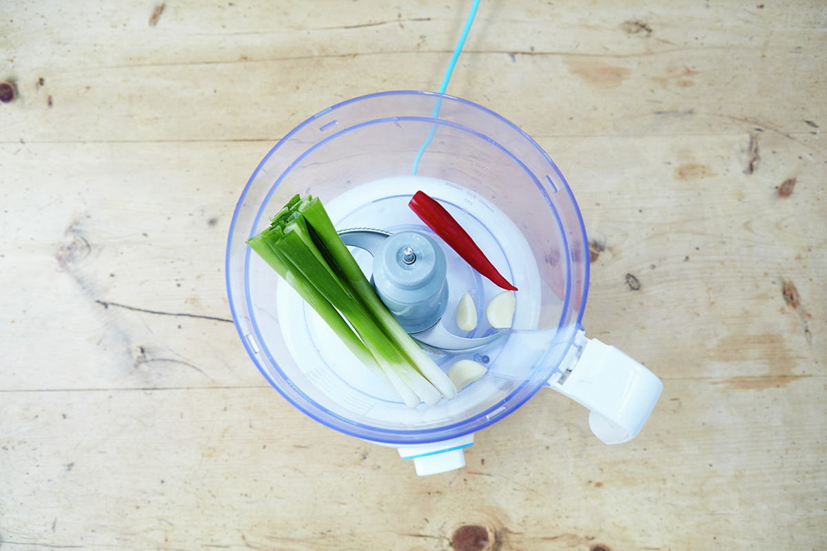 Birdseye view of chilli, spring onion and garlic in a belnder