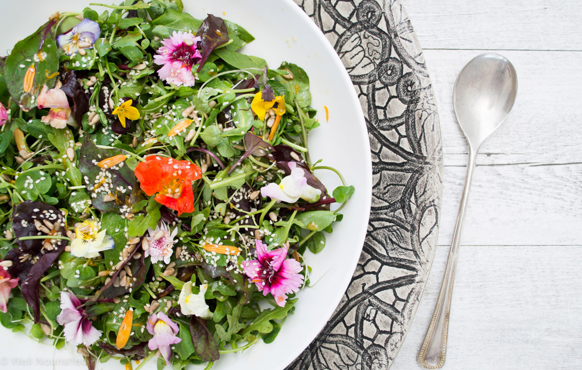 saladtwist_wellnourished