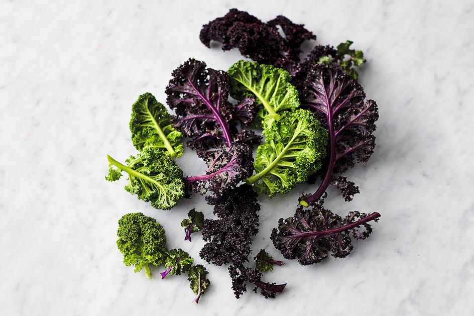 Jamie Oliver Features Page 11 of 123 Official site for recipes